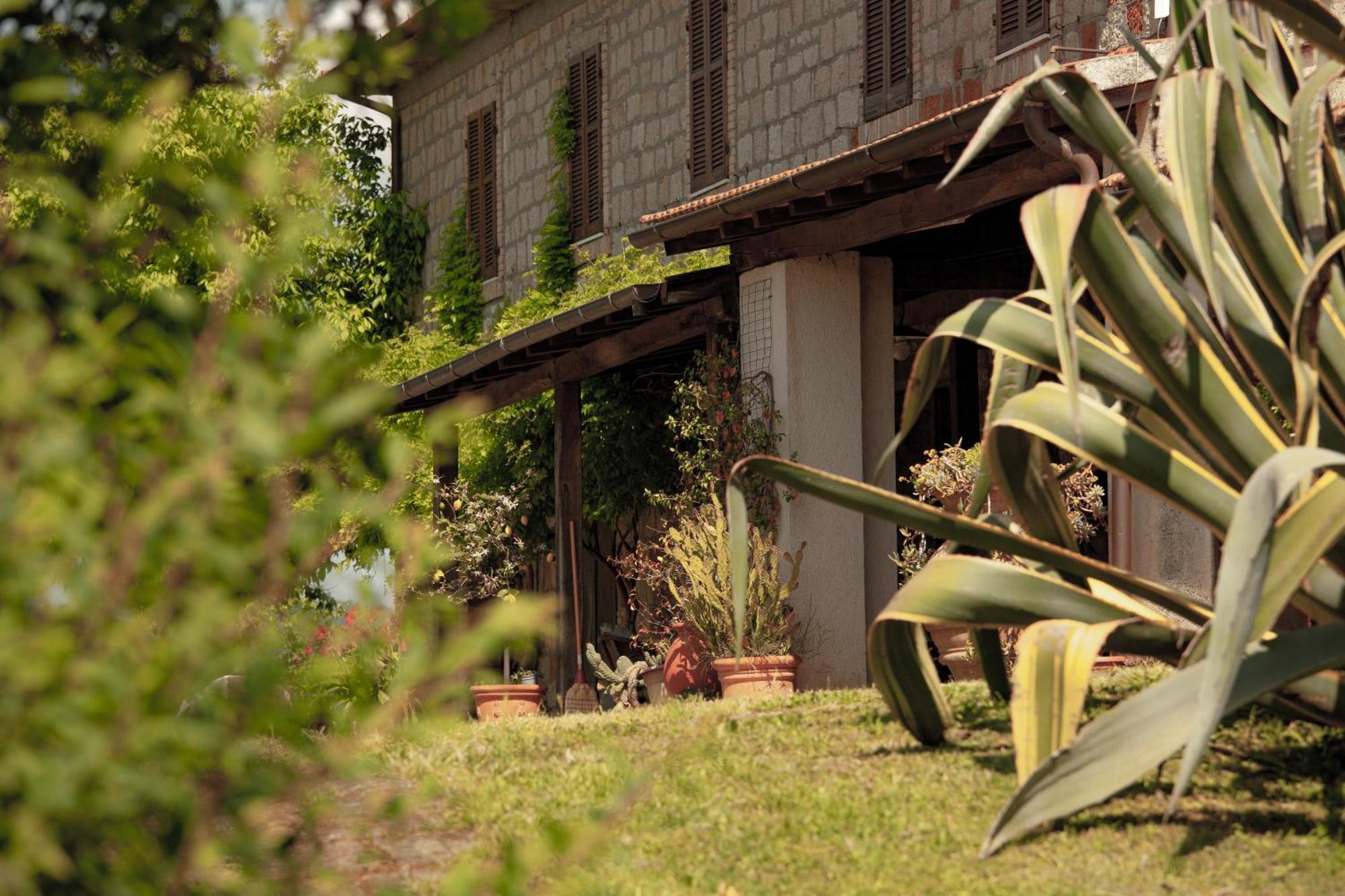 Agriturismo Bio Aia Della Colonna Saturnia Exterior foto